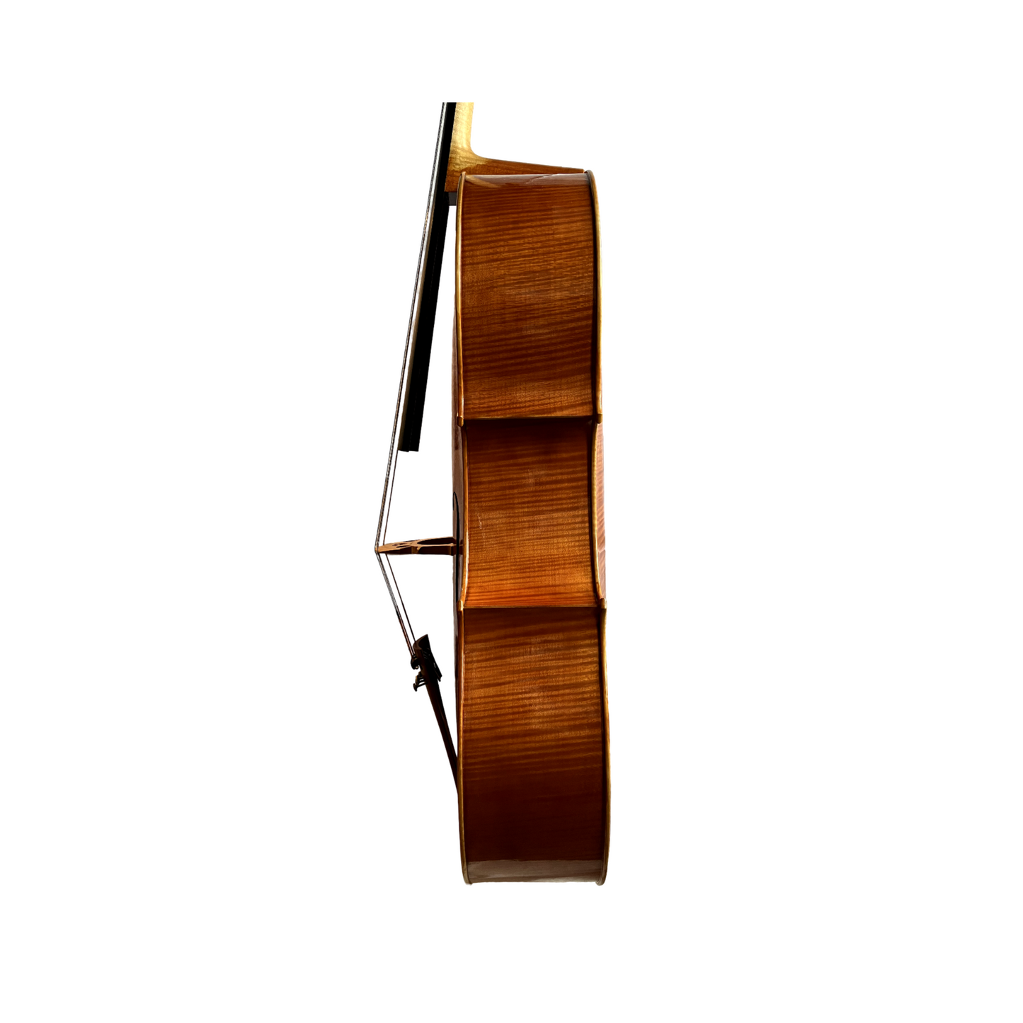 Frederik Bethke cello, Minneapolis, MN, 2023 | Metzler Violins