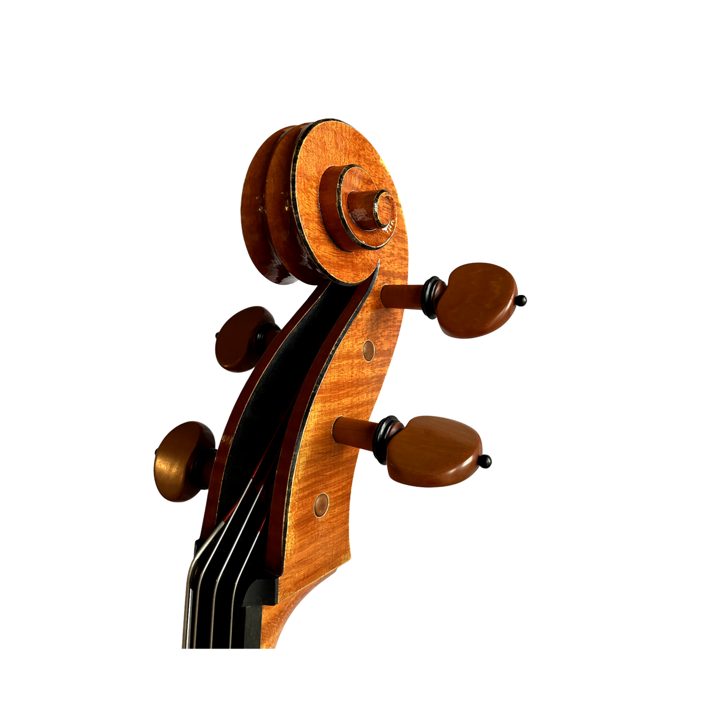 Frederik Bethke cello, Minneapolis, MN, 2023 | Metzler Violins