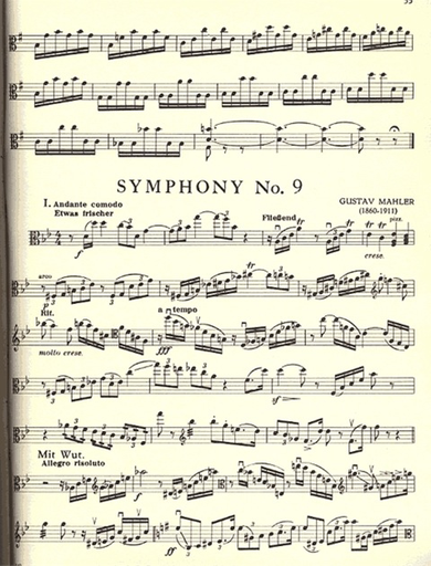 Vieland: Orchestral Excerpts from the Symphonic Repertoire for Viola Vol.5 (Viola)