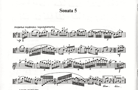 Paganini, Niccolo (Arnold): Six Sonatas Book 2 (Viola)