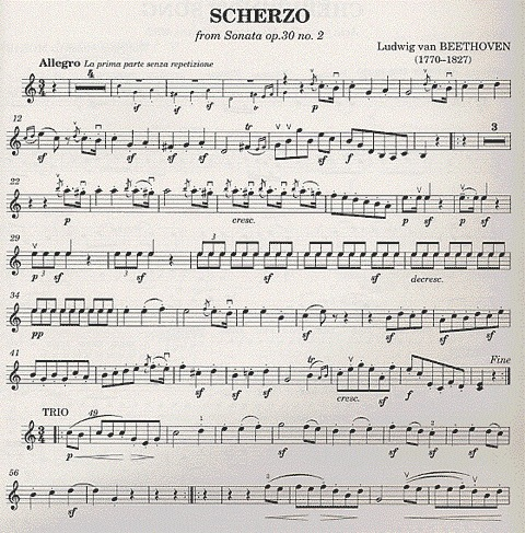 Nelson, S.: Classical Violinist (violin & piano)