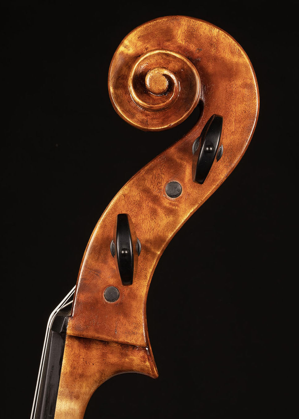 Paolo Vettori cello, 2023, highly figured poplar, Florence | Metzler Violins