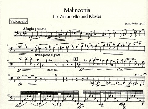 Sibelius, Jean: Malinconia Op.20 (cello & piano)