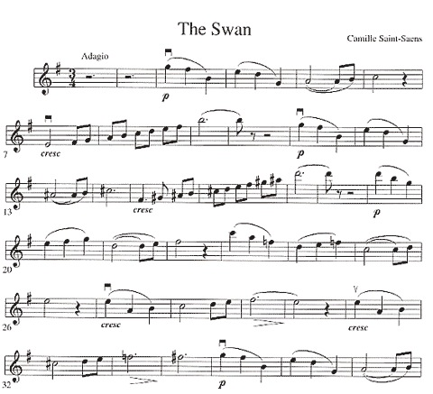 Duncan, Craig: Solo Pieces for the Advanced Violinist (violin & piano)