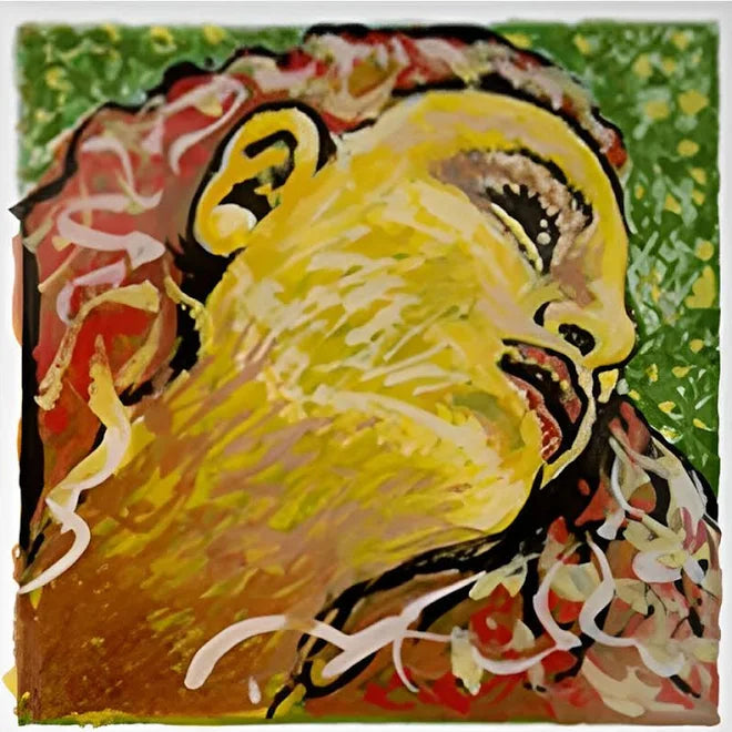 Evah Pirazzi Neo violin set, medium | Metzler Violins