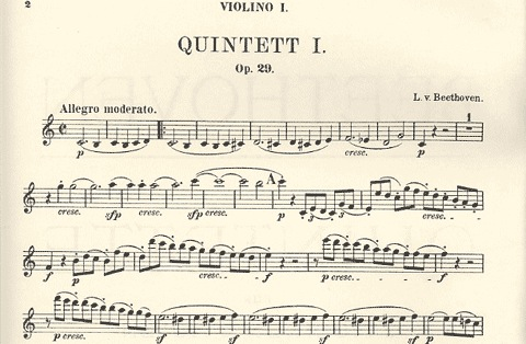 Beethoven, L.van: String Quintets Op.29, 4, 104, 137