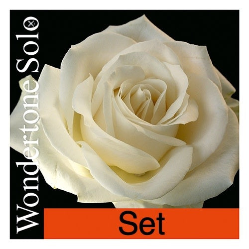 Pirastro WONDERTONE SOLO violin string set, 4/4, medium,