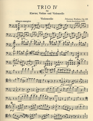 Brahms, Johannes: Piano Trio in c minor Op.101 (violin, cello, piano)