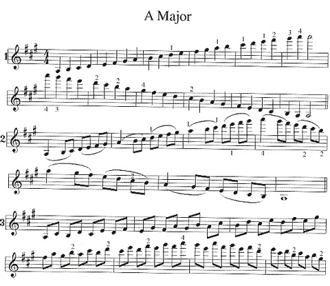 Duncan, Craig: Essential Scales & Studies for Violin, Level 1