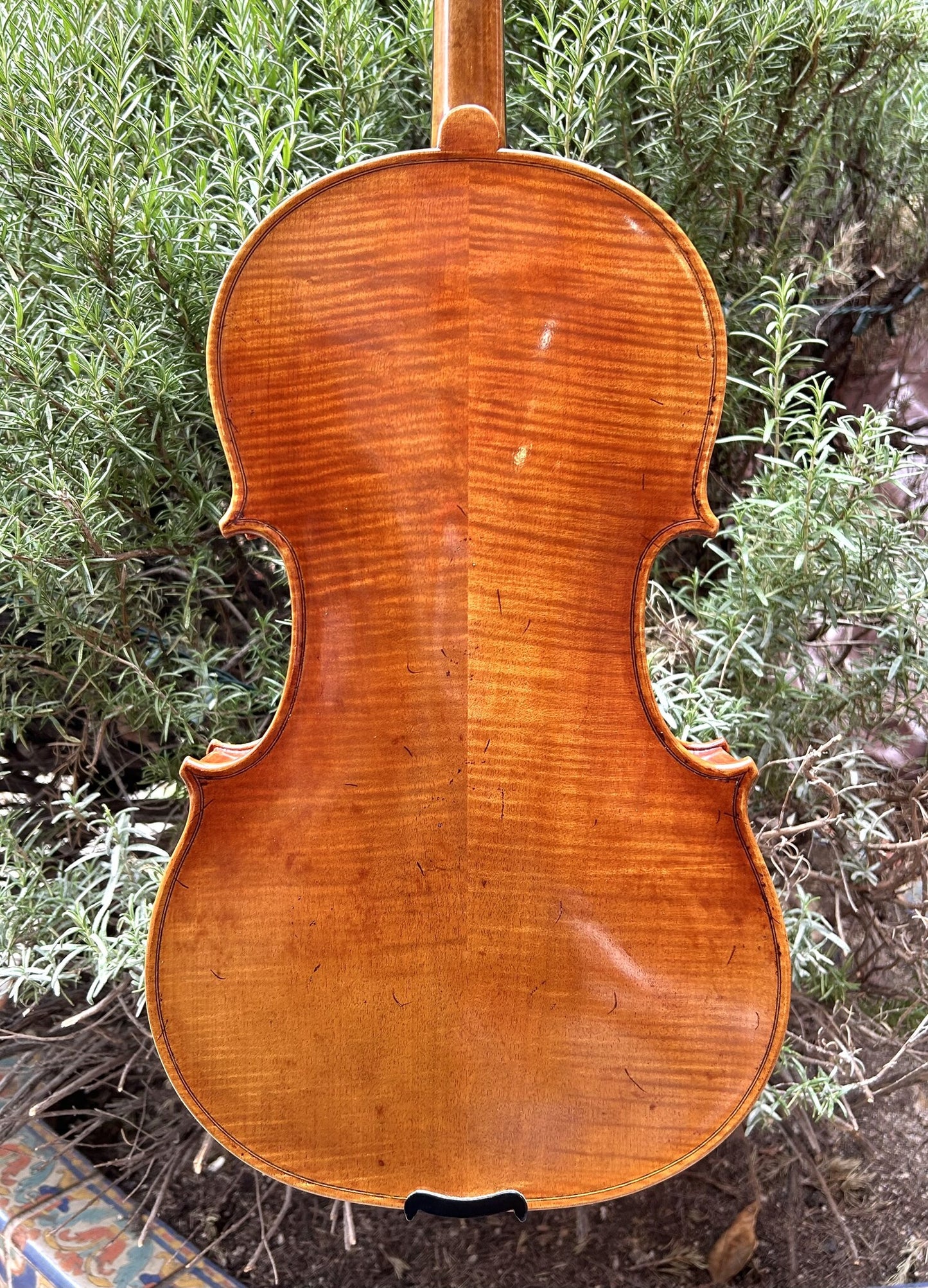 THANKFUL STRINGS 15.5" viola, model 200, CHINA