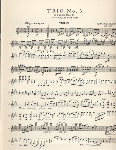 Brahms, Johannes: Piano Trio in c minor Op.101 (violin, cello, piano)
