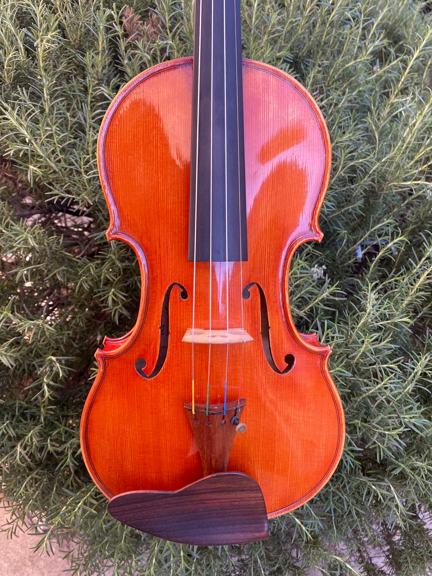 John Harrison 4/4 violin, Redding CA 2012 | Metzler Violins