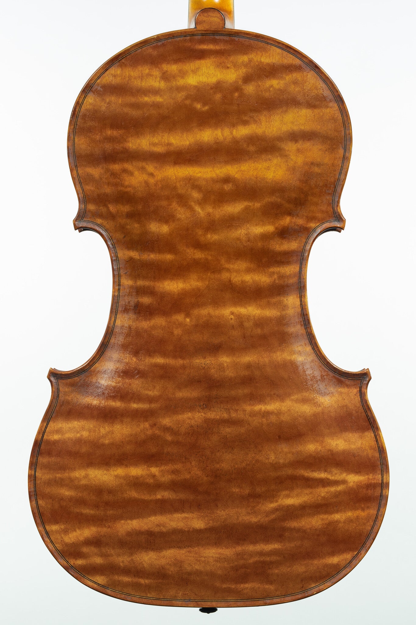 David van Zandt 15 3/4" viola, Portland, OR, 2023