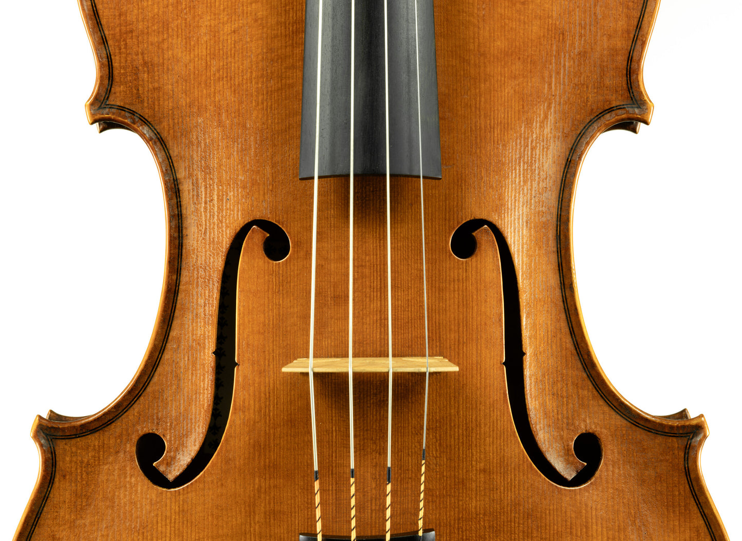 David van Zandt 15 3/4" viola, Portland, OR, 2023