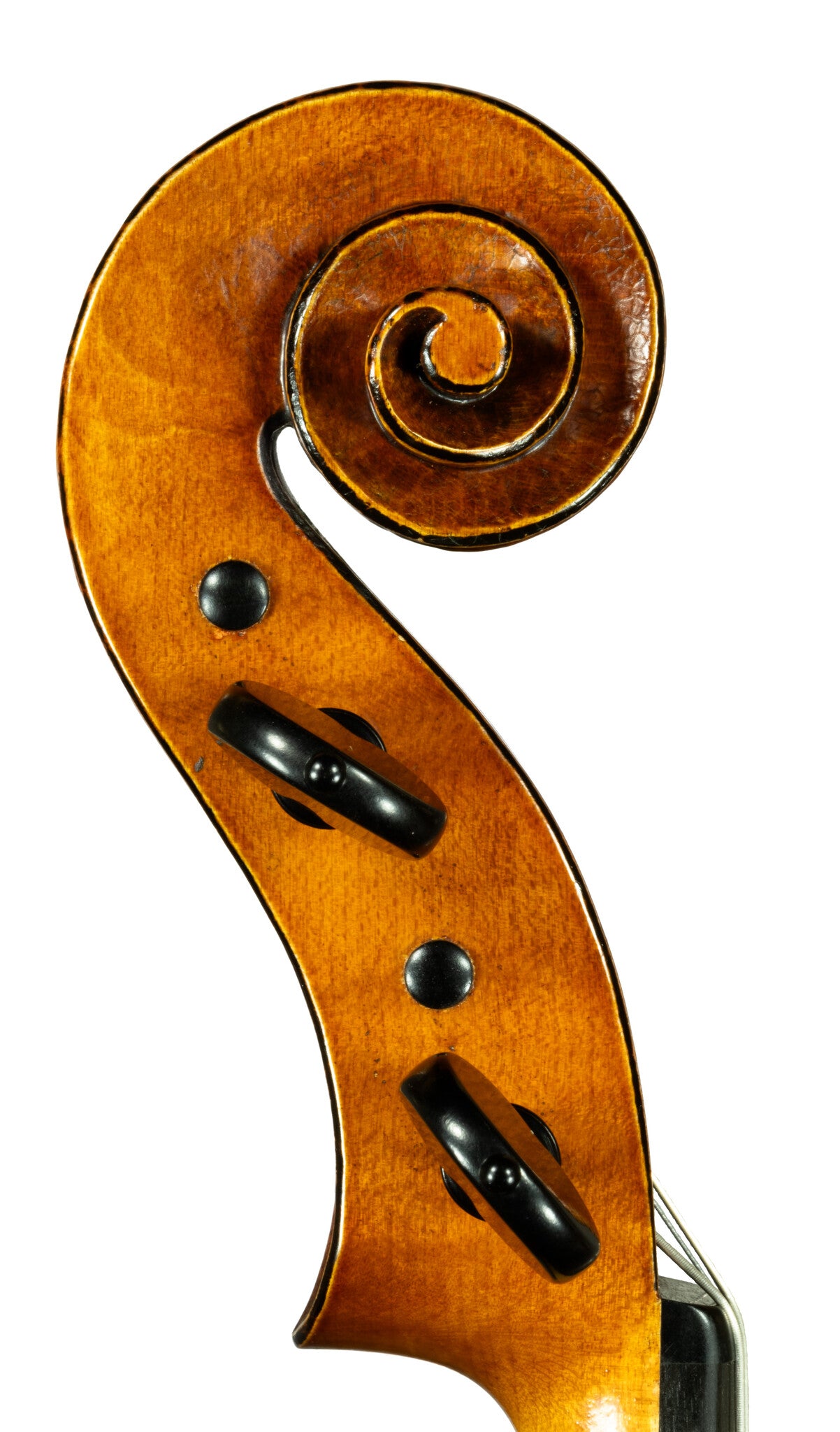 David van Zandt 15 3/4" viola, Portland, OR, 2023