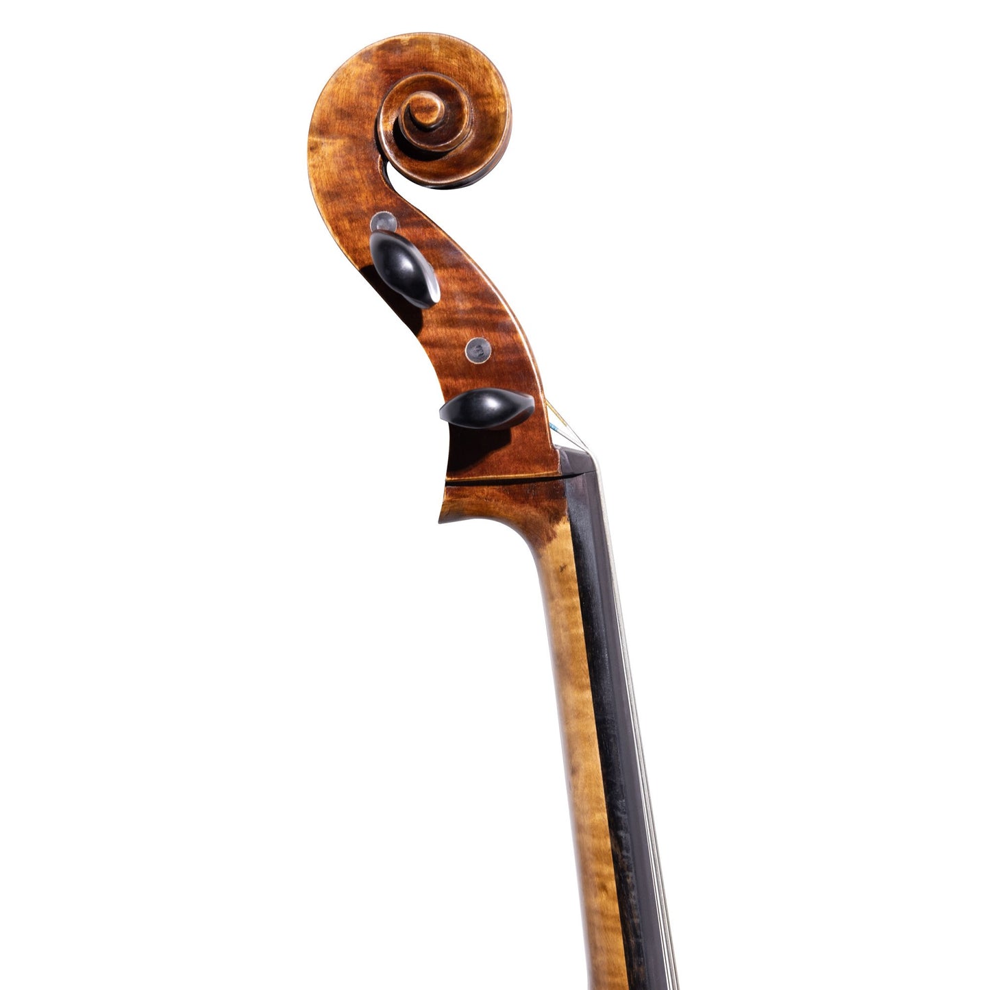 Nocturne Deluxe 4/4 cello, with Wittner pegs | Metzler Violins 2024