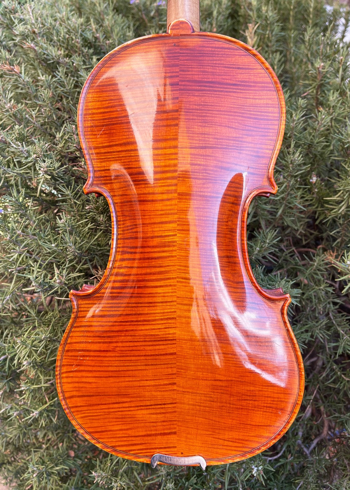 Roman Glogowski violin, 2015, Zab, Poland | Metzler Violins