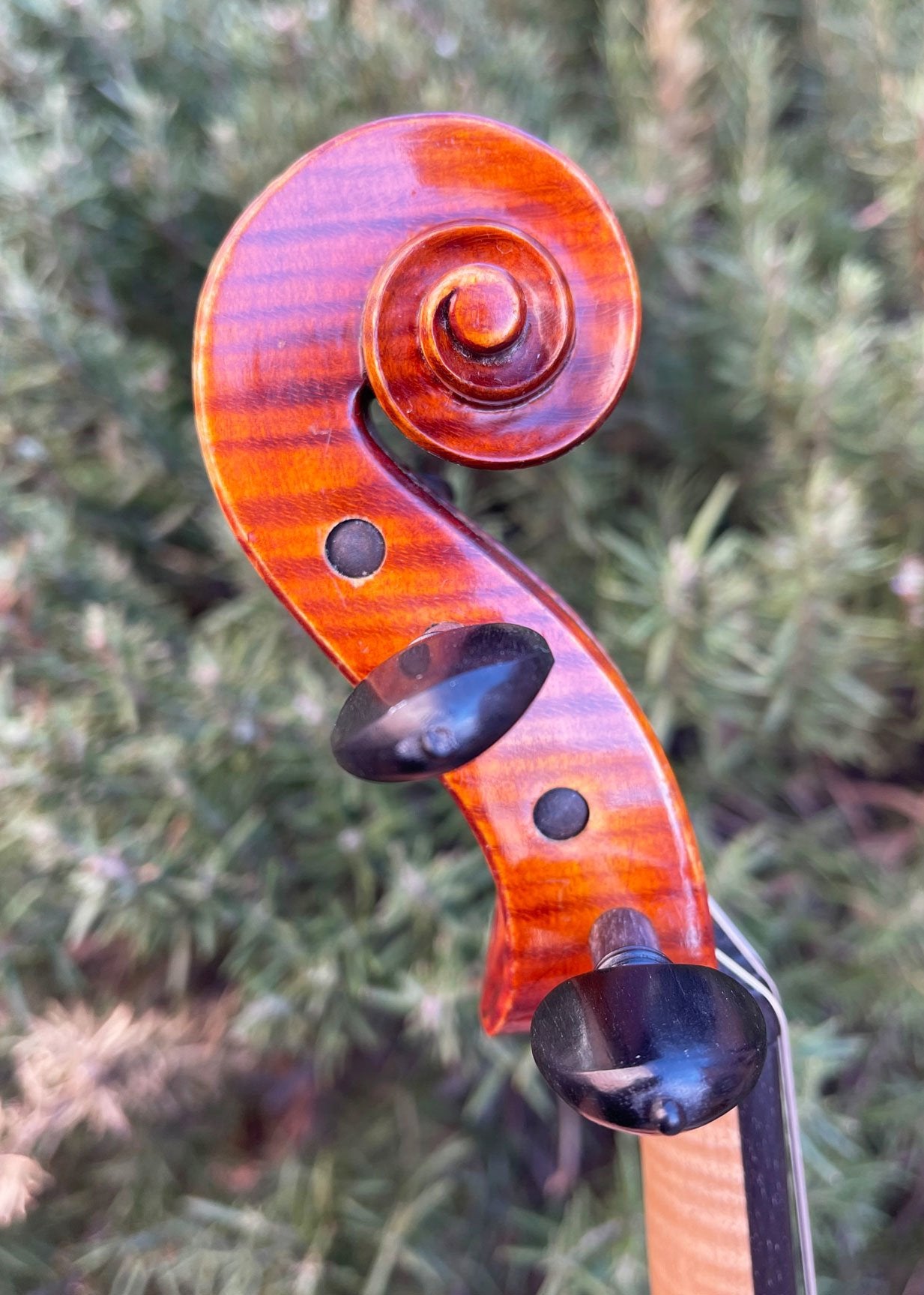 Roman Glogowski violin, 2015, Zab, Poland | Metzler Violins