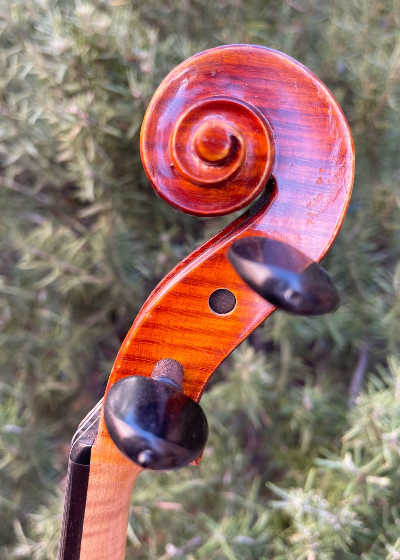 Roman Glogowski violin, 2015, Zab, Poland | Metzler Violins