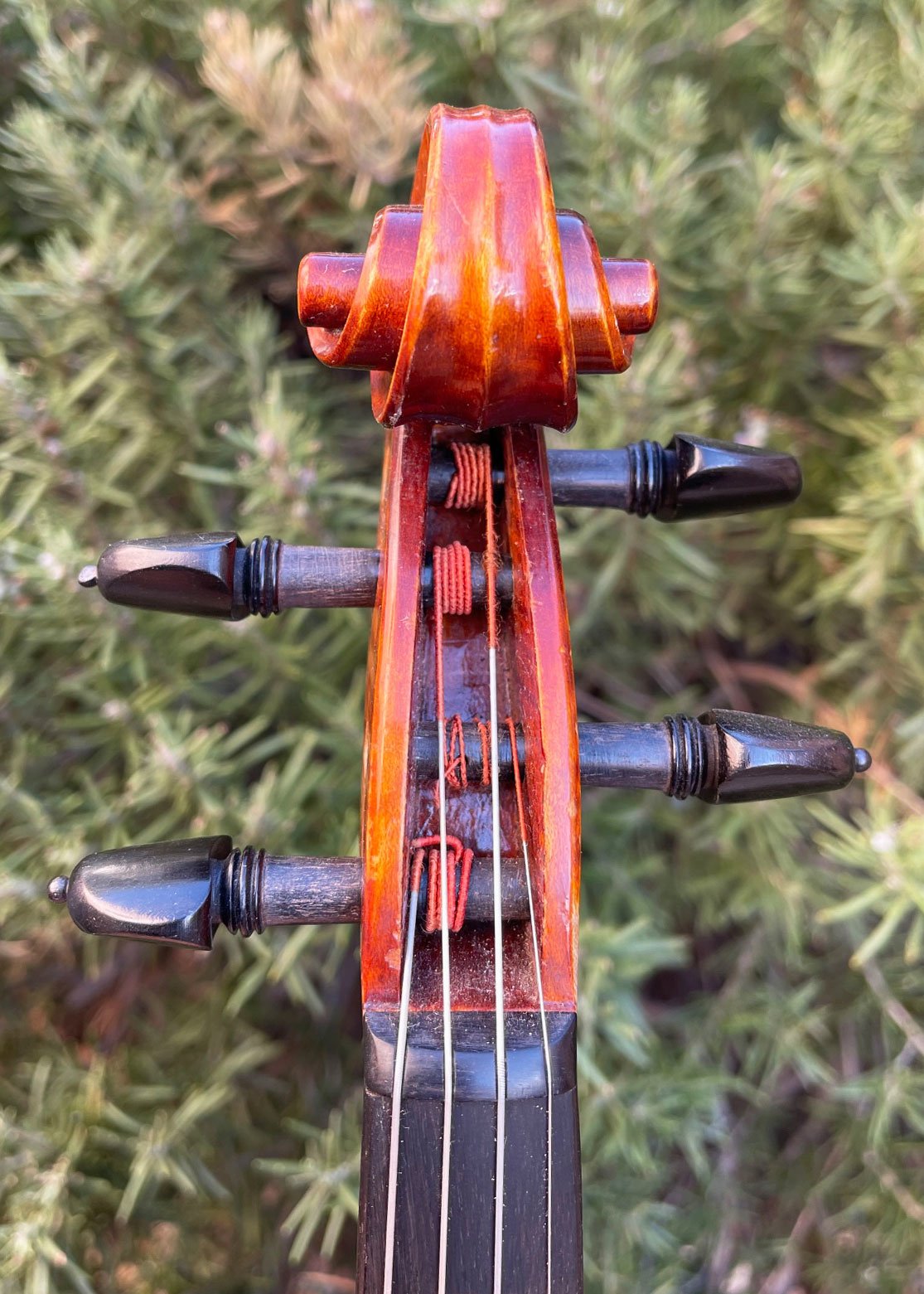 Roman Glogowski violin, 2015, Zab, Poland | Metzler Violins