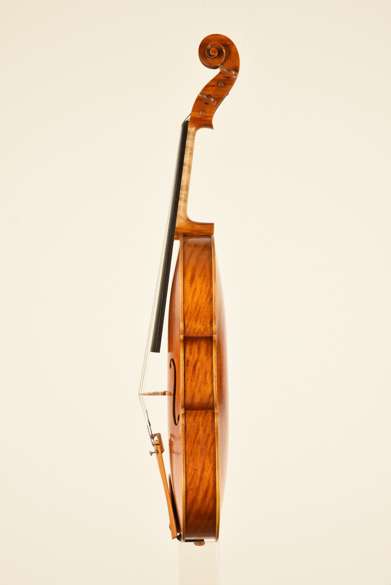 William Scott 15.75" viola #164, Minneapolis 2021