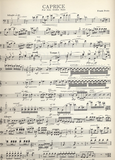 Proto, F.: Caprice (bass solo) for 1981 Mingus Zimmermann Competition