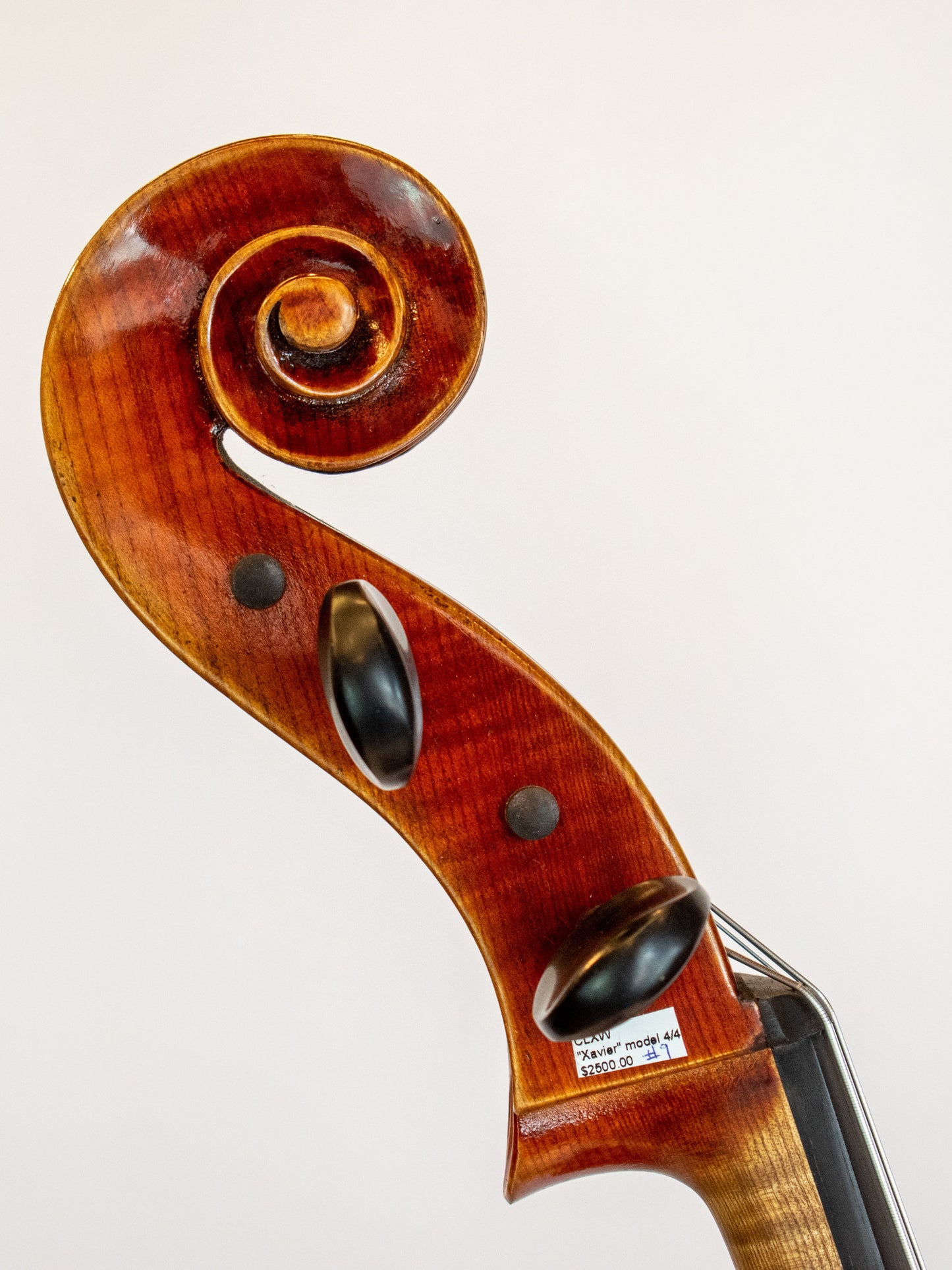 "Xavier" model fine 4/4 cello | Metzler Violins