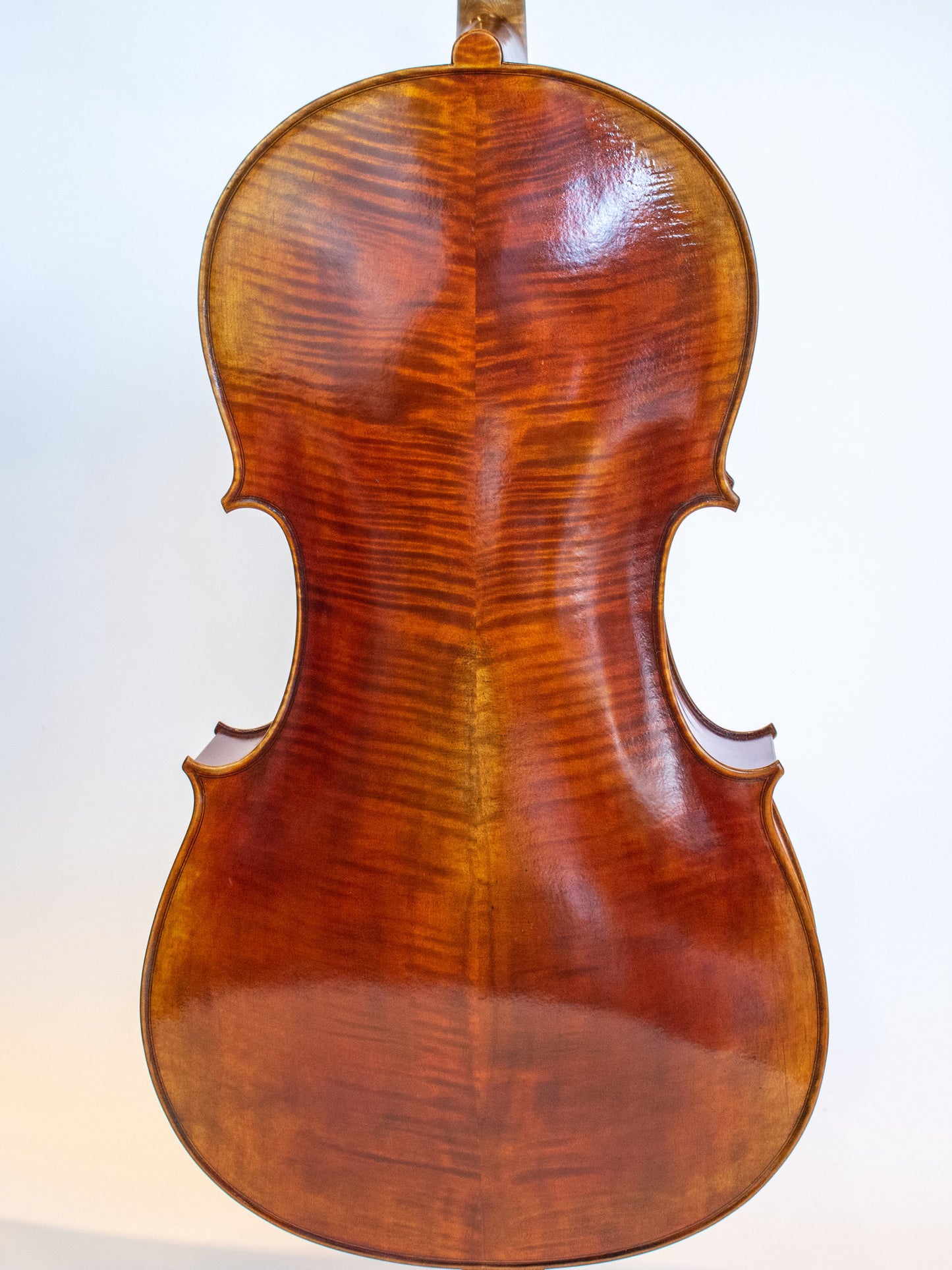 "Xavier" model fine 4/4 cello | Metzler Violins