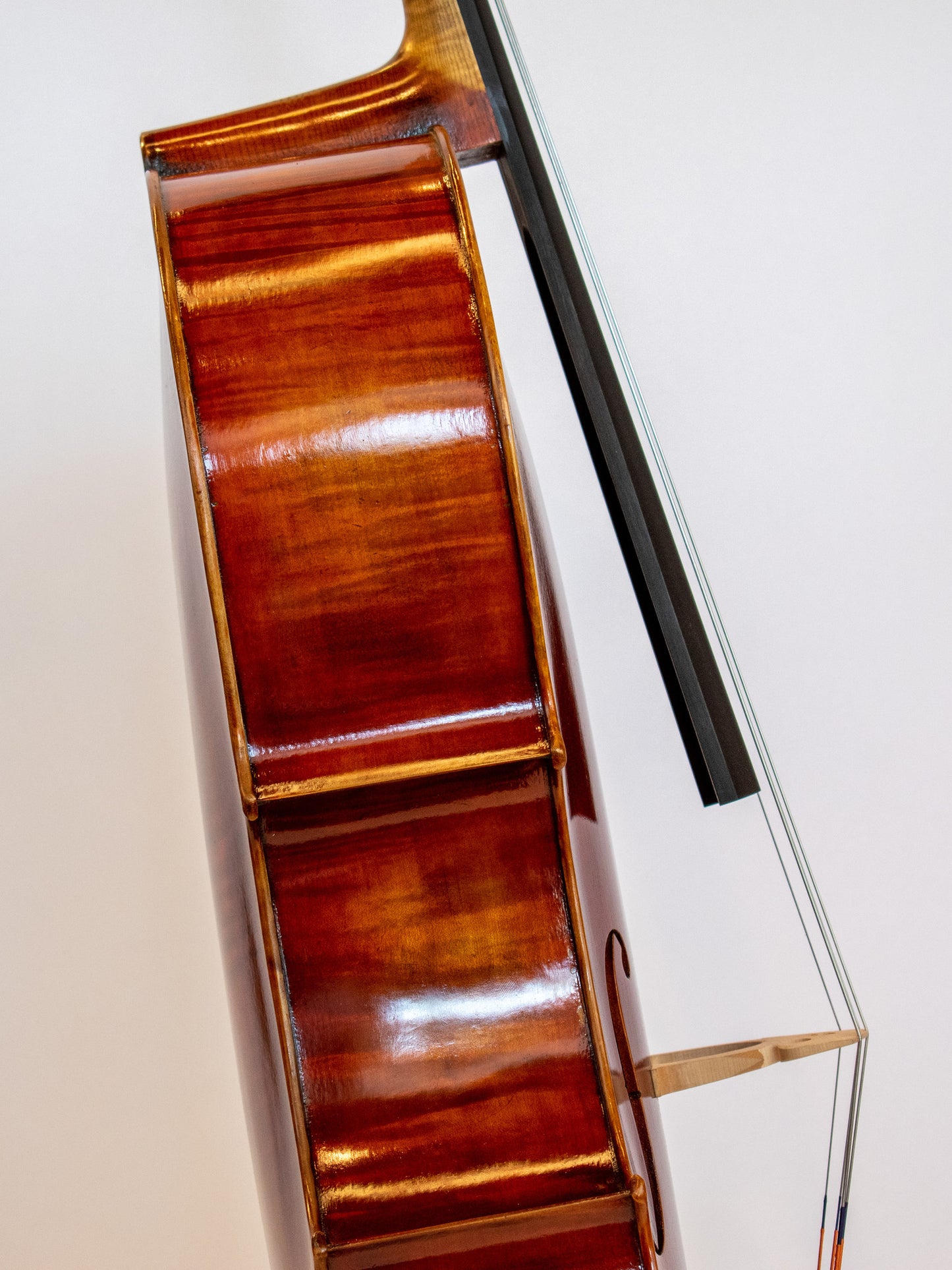 "Xavier" model fine 4/4 cello | Metzler Violins
