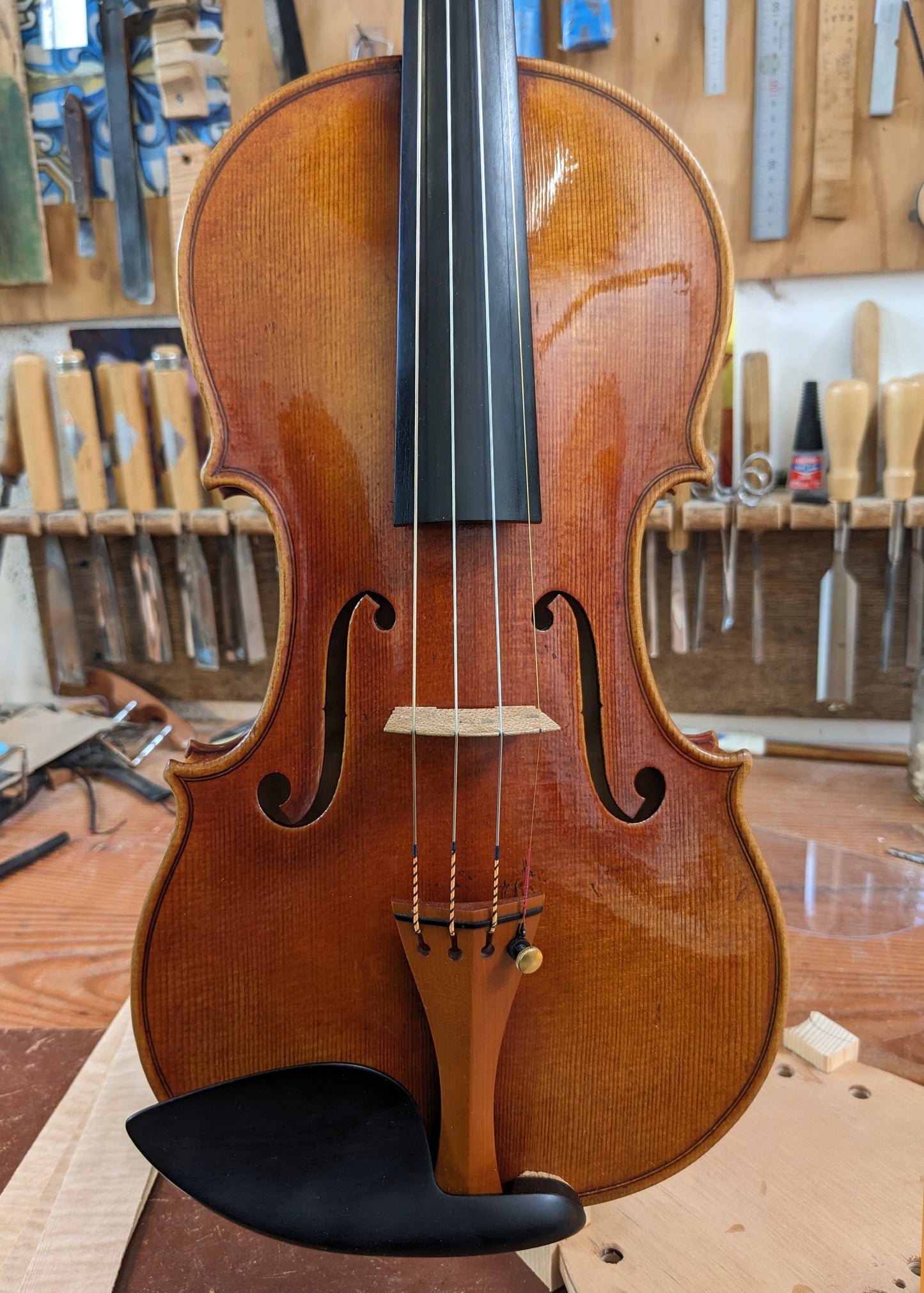Artur Friedhoff Calvo violin, Strad Titian model, 2022, Oakland CA | Metzler Violins