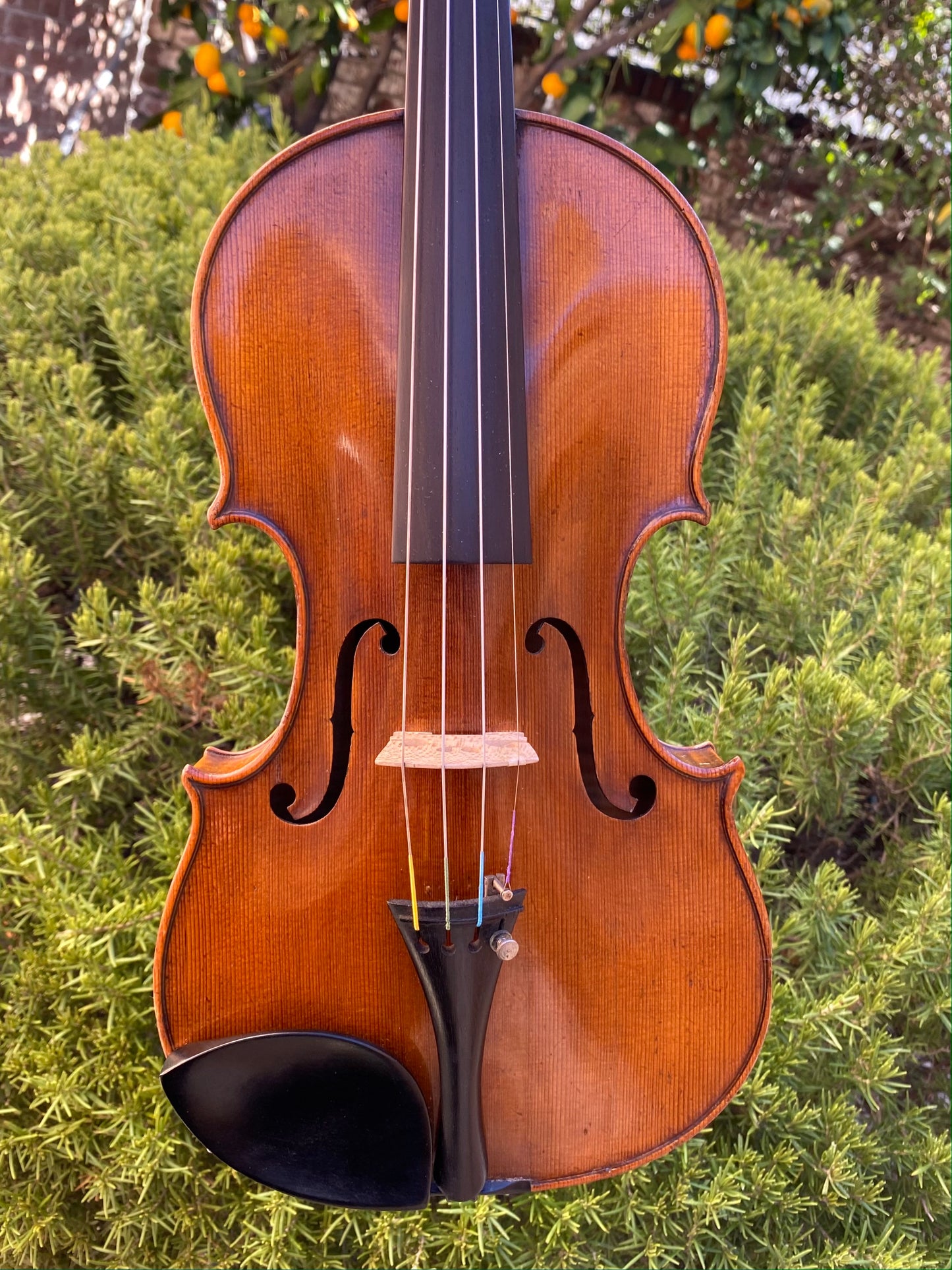 E.R. Schmidt violin, Amati copy, Saxony, GERMANY