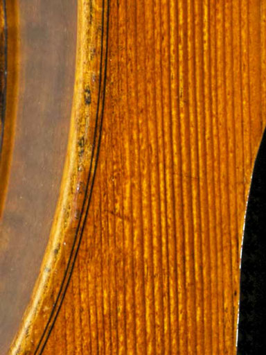 Polstein & White cello, Gofriller model, 2018, Boston | Metzler Violins