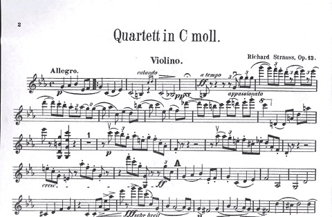 Strauss, Richard: String Quartet in C minor Op.13