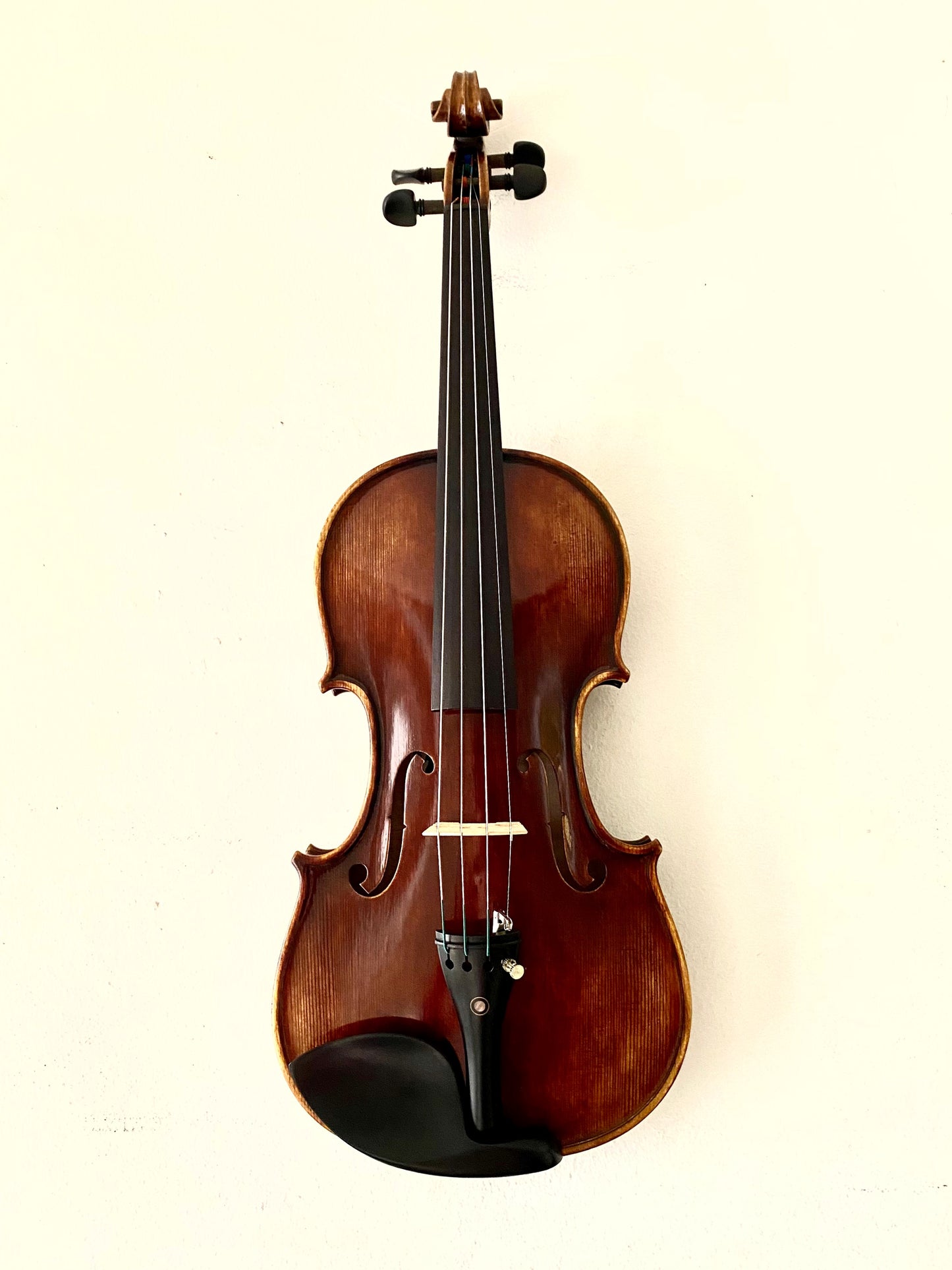 Nocturne 4/4 violin with free case, bow, rosin & polish cloth