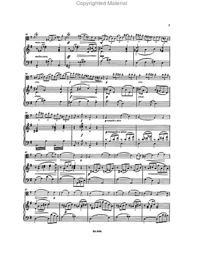 Seitz, Friedrich (Sasmannshaus): Concerto in D major, Op. 22 (viola & piano) Barenreiter