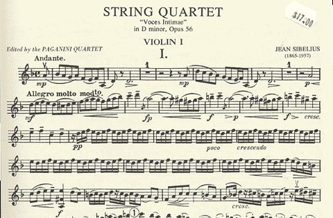 Sibelius, Jean: String Quartet Op.56-Voces intimae