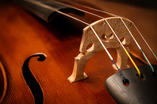 Cello Setup 101: Bridge, Nut, and String Height Explained