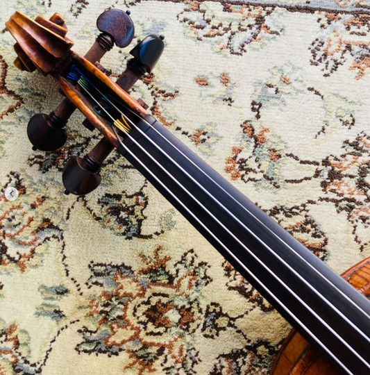 Why Is My Violin Buzzing? Common Causes and How to Fix Them