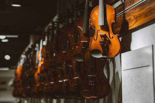 Violin Buying Guide: How to Choose the Perfect Violin for Every Player