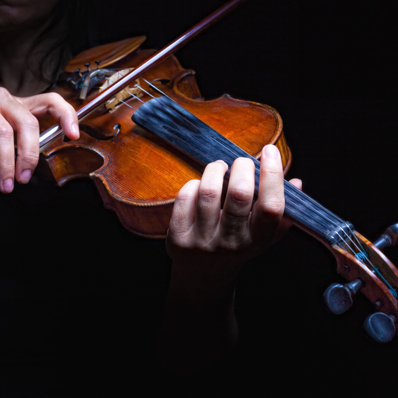 Instruments - Metzler Violin Shop Inc.