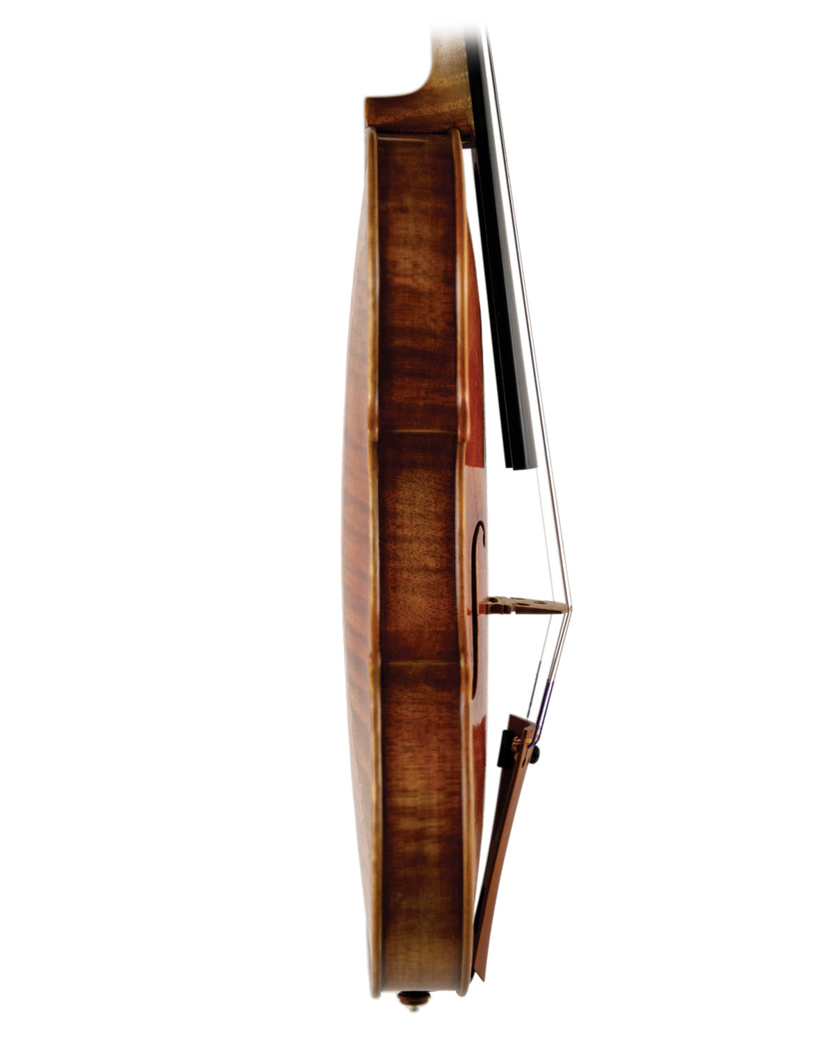 Michael A. Daddona violin, Connecticut, 2024 | Metzler Violins