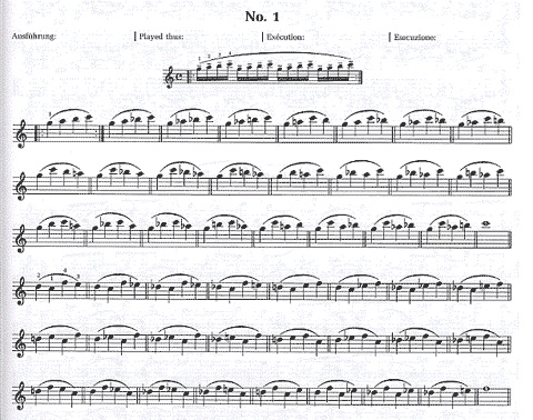 Sevcik: School of Violin Technique, Op.1, Bk.2 (violin)