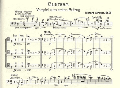 Strauss, R: Orch.StageWorksCL, V.1 Guntram