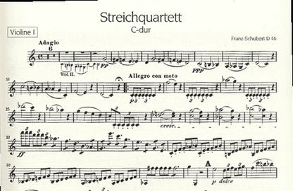 Schubert, F.: String Quartet D46 in C