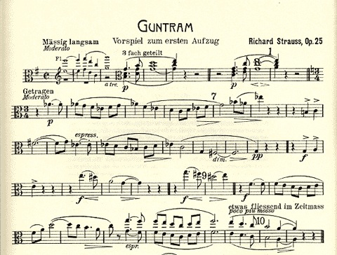 Strauss, R. (Gentz, ed.): Orchestral Studies, Book 1 (Viola 1, 2, & 3)