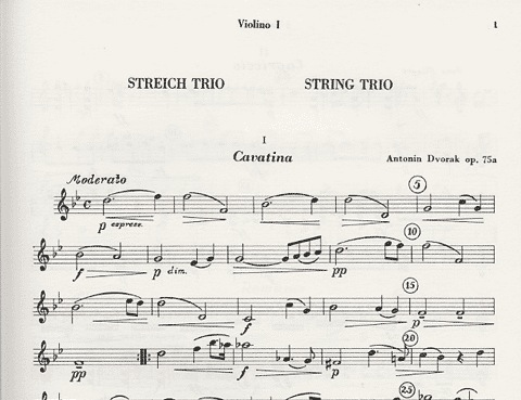 Dvorak, A.: Sting Trio in B flat Major, Op.75a (2 violins, and viola)