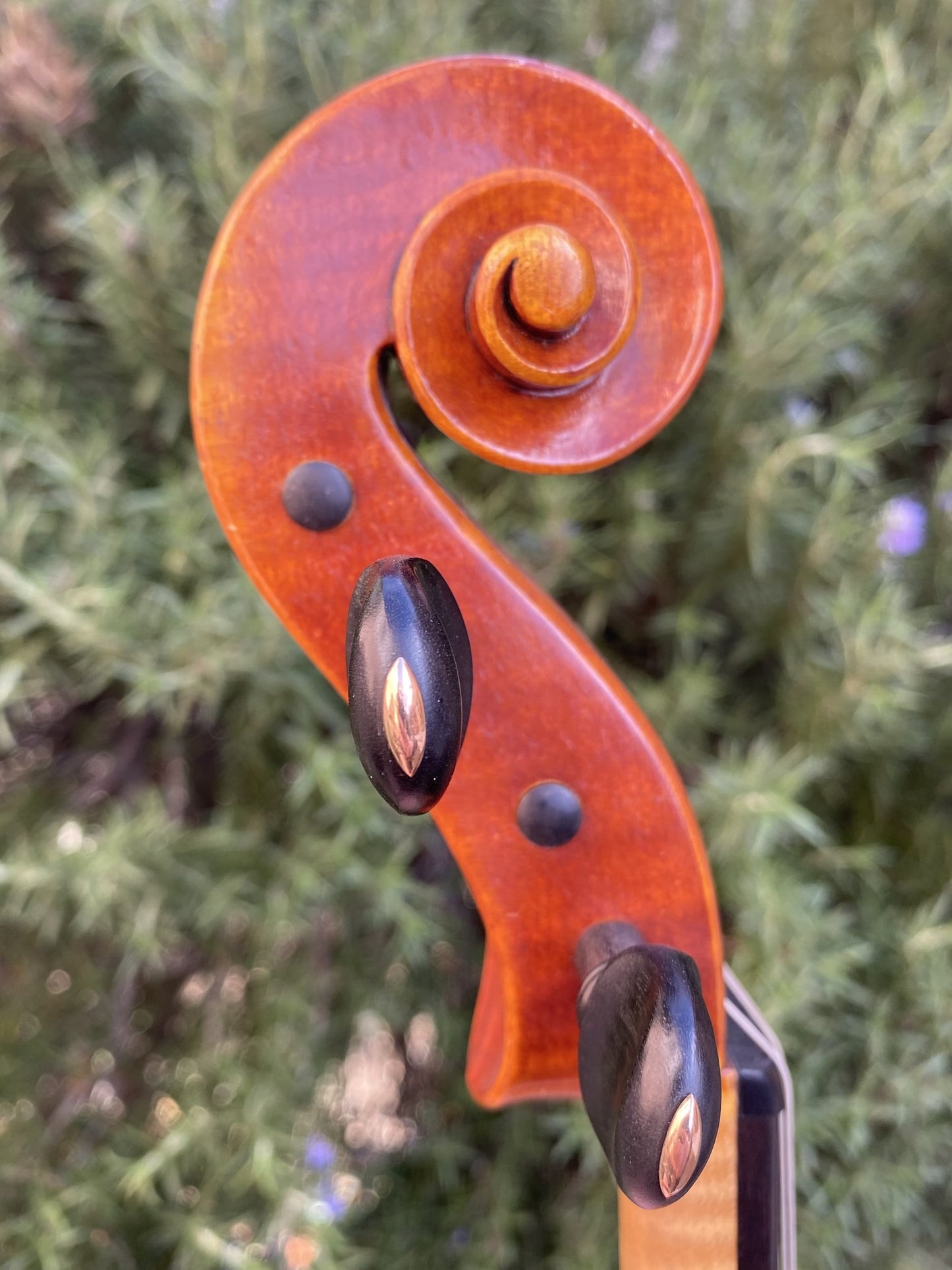 Raymond Schryer 16 5/16" viola 1995 Hilton Beach, Canada
