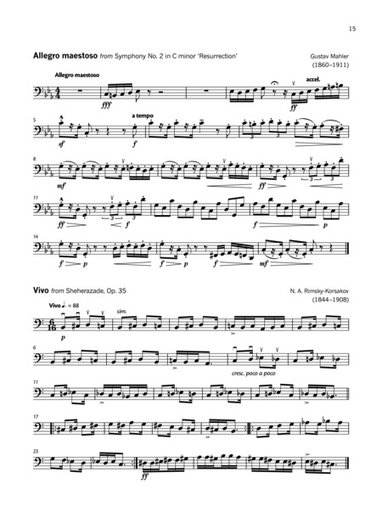 Hartley, K.: Double Bass Solo Techniques