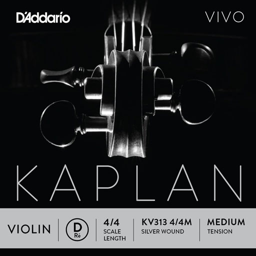 D'Addario KAPLAN VIVO 4/4 violin D string, master