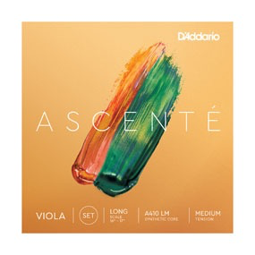 D’addario Ascente Viola set